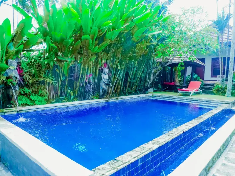 swimming pool at Bali Yoga Retreats