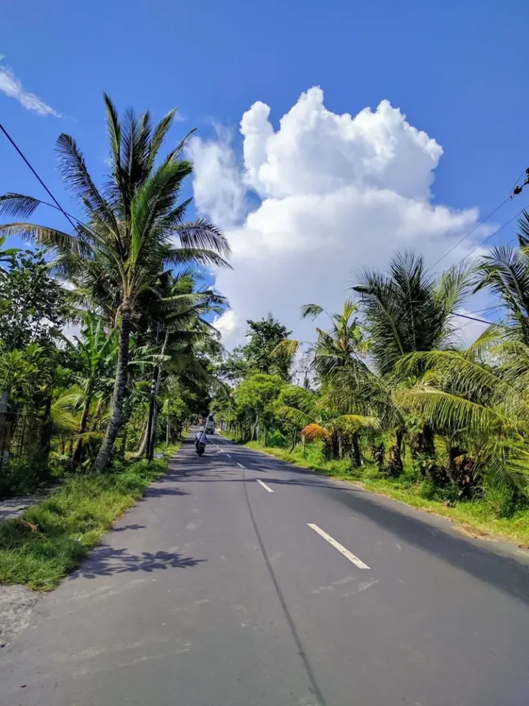 Scenic road in Bali