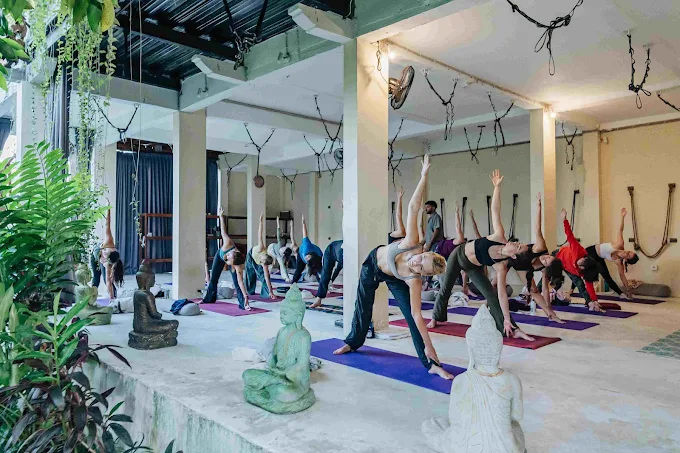 Yoga students performing poses during a class showcasing the Benefits of Daily Yoga
