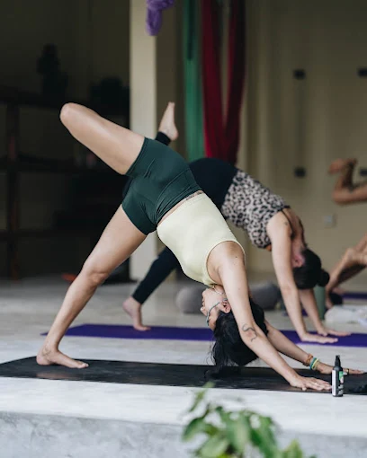 Yoga students performing poses during a class showcasing the Benefits of Daily Yoga